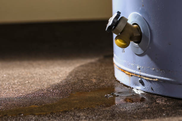 Best Water damage restoration near me  in Mans, CO