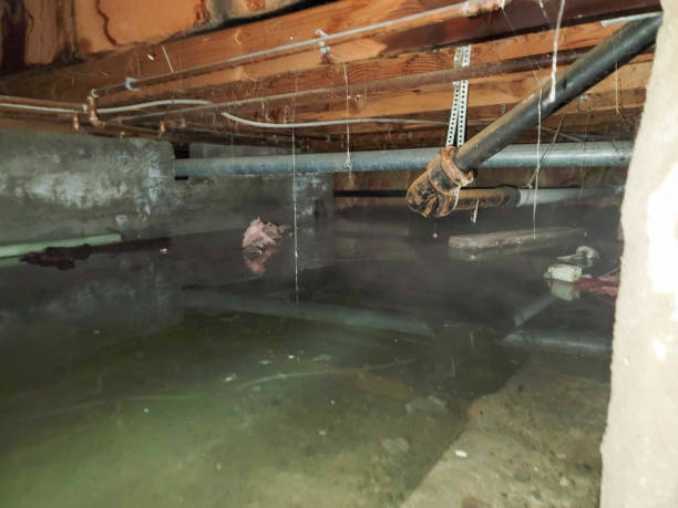 Best Water damage contractors near me  in Mans, CO
