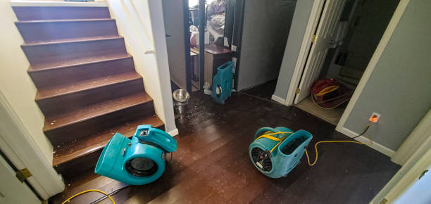 Professional Water damage restoration in Mancos, CO