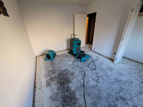 Best Mold removal after water damage  in Mans, CO