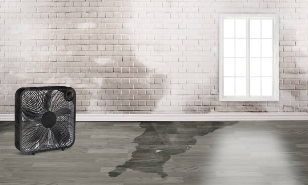 24/7 water damage repair in Mancos, CO