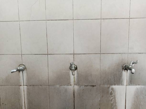 Best Professional water damage repair  in Mans, CO