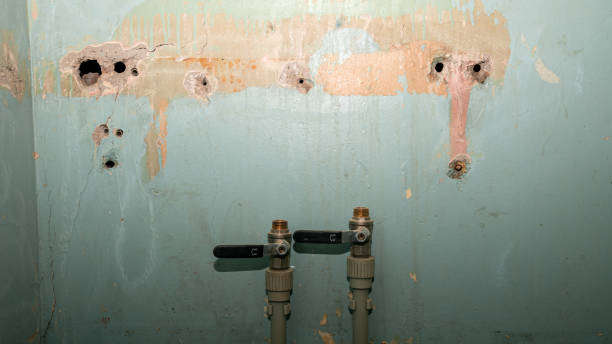 Best Water damage restoration process  in Mans, CO