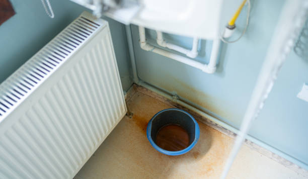 Best Professional water damage repair  in Mans, CO