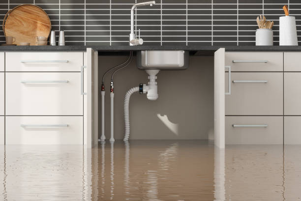Water damage restoration experts in Mancos, CO