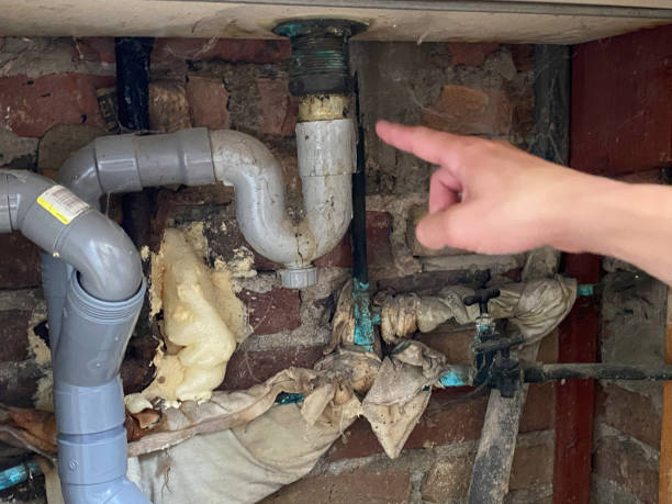 Best Flood damage cleanup  in Mans, CO