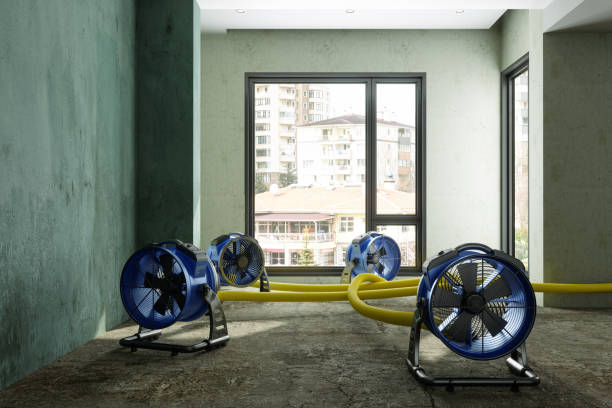 Best Local water damage restoration  in Mans, CO